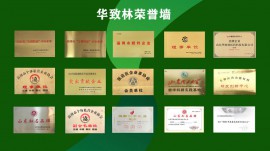 榮譽(yù)頭圖