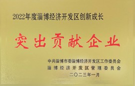 經(jīng)開區(qū)突出貢獻(xiàn)企業(yè)