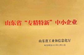 山東省“專精特新”企業稱號