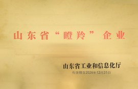 山東省瞪羚企業